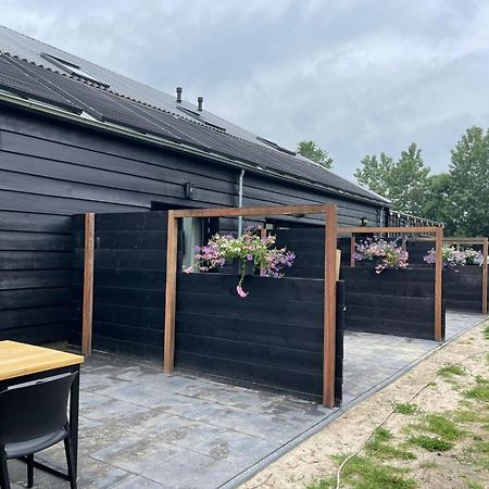 Cozy Holiday Home In Vrouwenpolder Close To The Beach ภายนอก รูปภาพ