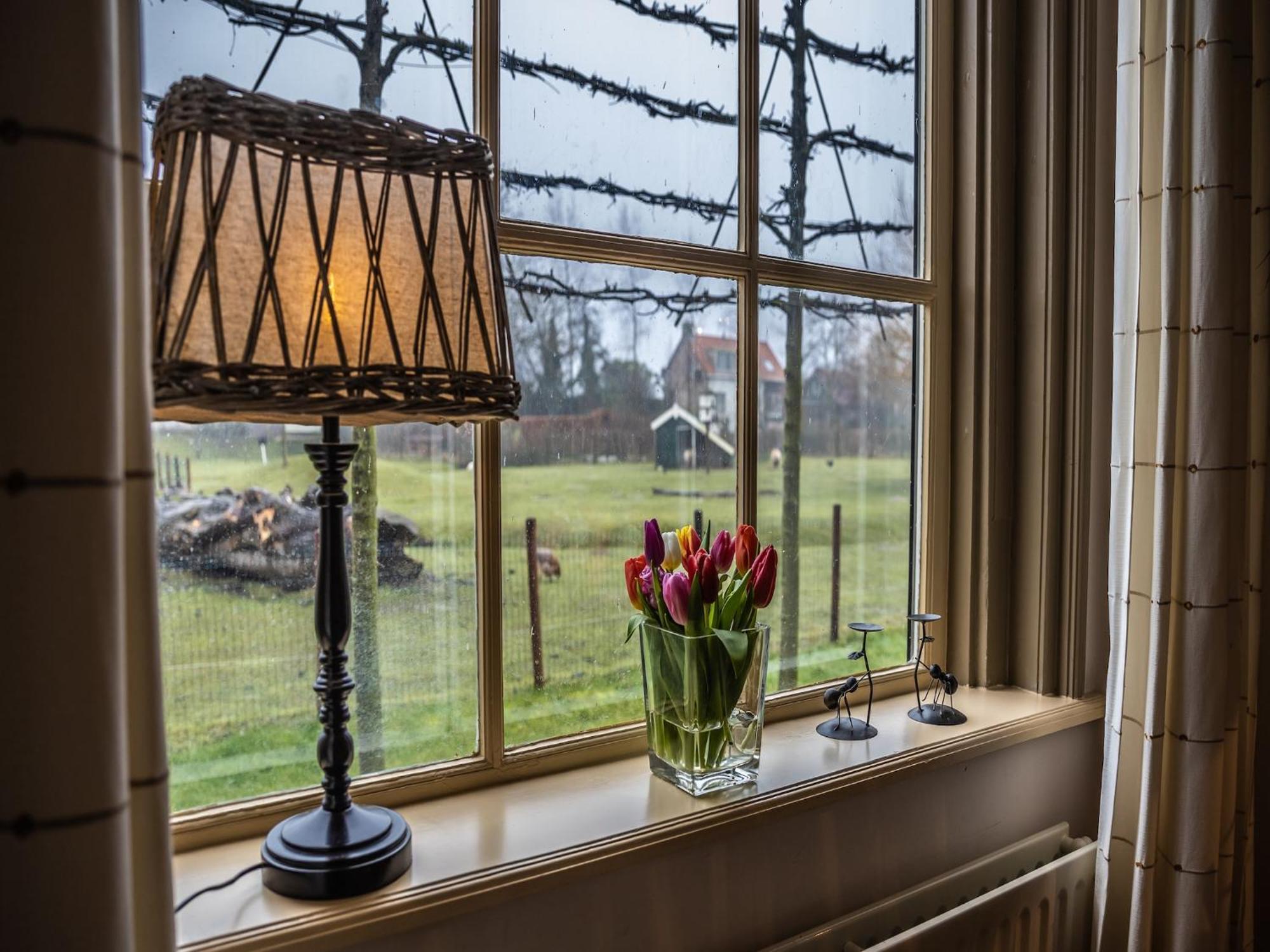 Cozy Holiday Home In Vrouwenpolder Close To The Beach ภายนอก รูปภาพ